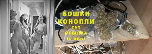 ALPHA PVP Осинники