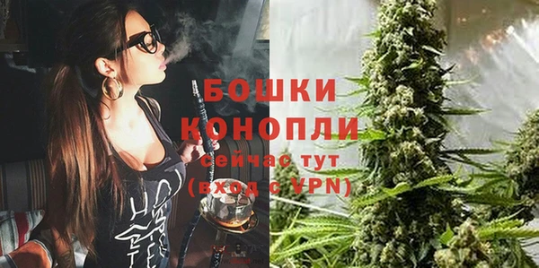 не бодяженный Осташков