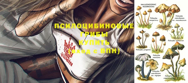 не бодяженный Осташков