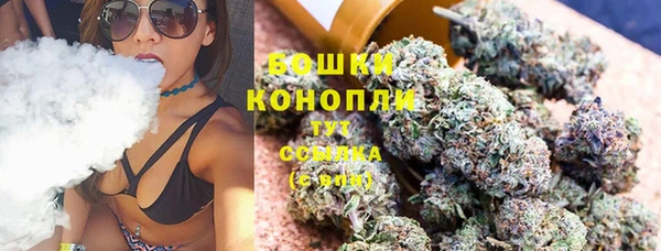ПСИЛОЦИБИНОВЫЕ ГРИБЫ Валуйки