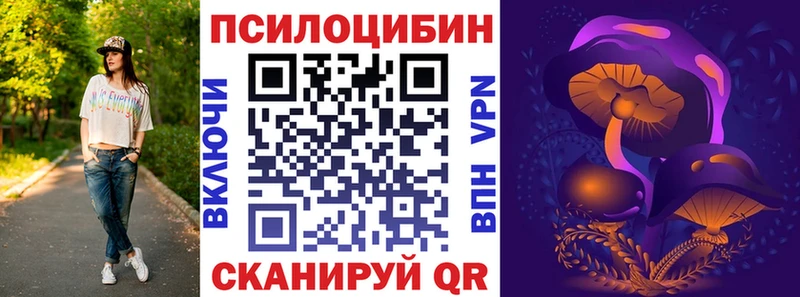 МЕГА ссылка  купить наркотики сайты  Петров Вал  Галлюциногенные грибы мицелий 