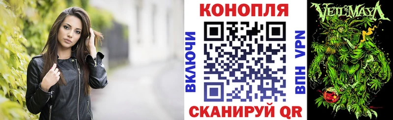 Канабис сатива  как найти закладки  Петров Вал 